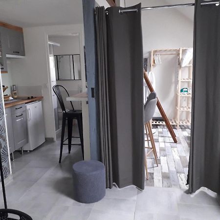 Loft Haut De Gamme Centre Montargis, Place De Parking, Local A Velos, Linge De Lits Et Serviettes, Coin Riviere Amenage, Hamac, Epicerie, Velos En Option, Tout Confort Jusqu'A 4 Voyageurs Zewnętrze zdjęcie