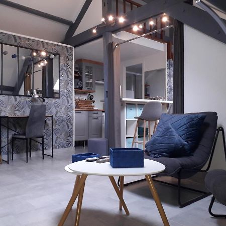 Loft Haut De Gamme Centre Montargis, Place De Parking, Local A Velos, Linge De Lits Et Serviettes, Coin Riviere Amenage, Hamac, Epicerie, Velos En Option, Tout Confort Jusqu'A 4 Voyageurs Zewnętrze zdjęcie