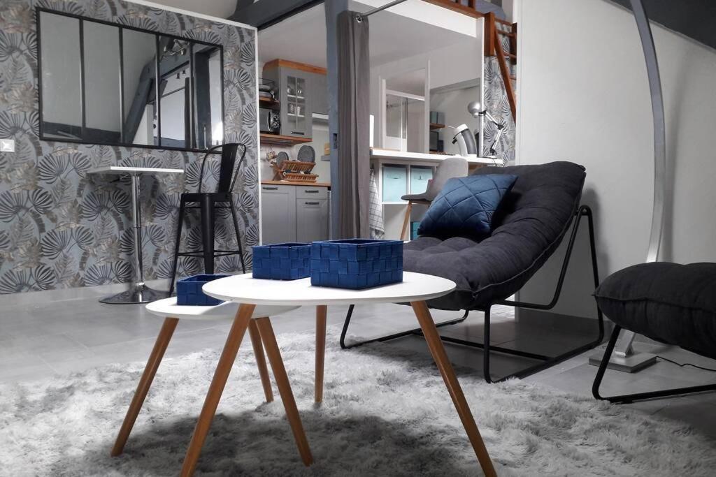 Loft Haut De Gamme Centre Montargis, Place De Parking, Local A Velos, Linge De Lits Et Serviettes, Coin Riviere Amenage, Hamac, Epicerie, Velos En Option, Tout Confort Jusqu'A 4 Voyageurs Zewnętrze zdjęcie