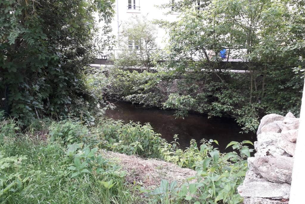 Loft Haut De Gamme Centre Montargis, Place De Parking, Local A Velos, Linge De Lits Et Serviettes, Coin Riviere Amenage, Hamac, Epicerie, Velos En Option, Tout Confort Jusqu'A 4 Voyageurs Zewnętrze zdjęcie