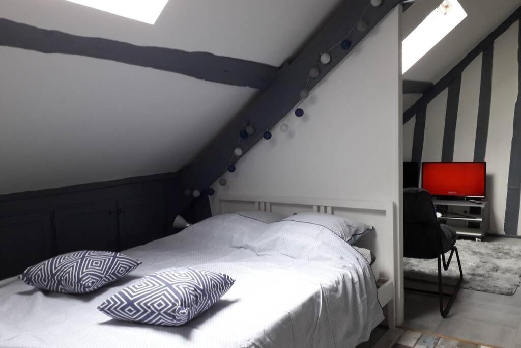 Loft Haut De Gamme Centre Montargis, Place De Parking, Local A Velos, Linge De Lits Et Serviettes, Coin Riviere Amenage, Hamac, Epicerie, Velos En Option, Tout Confort Jusqu'A 4 Voyageurs Zewnętrze zdjęcie