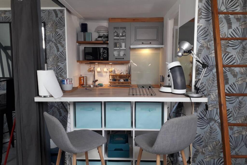 Loft Haut De Gamme Centre Montargis, Place De Parking, Local A Velos, Linge De Lits Et Serviettes, Coin Riviere Amenage, Hamac, Epicerie, Velos En Option, Tout Confort Jusqu'A 4 Voyageurs Zewnętrze zdjęcie
