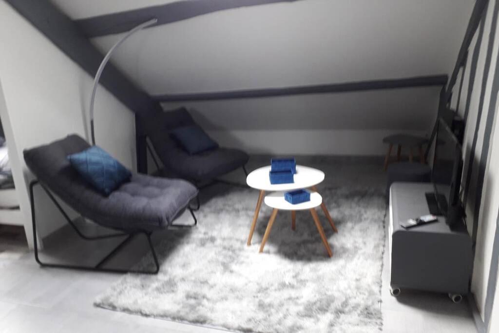 Loft Haut De Gamme Centre Montargis, Place De Parking, Local A Velos, Linge De Lits Et Serviettes, Coin Riviere Amenage, Hamac, Epicerie, Velos En Option, Tout Confort Jusqu'A 4 Voyageurs Zewnętrze zdjęcie