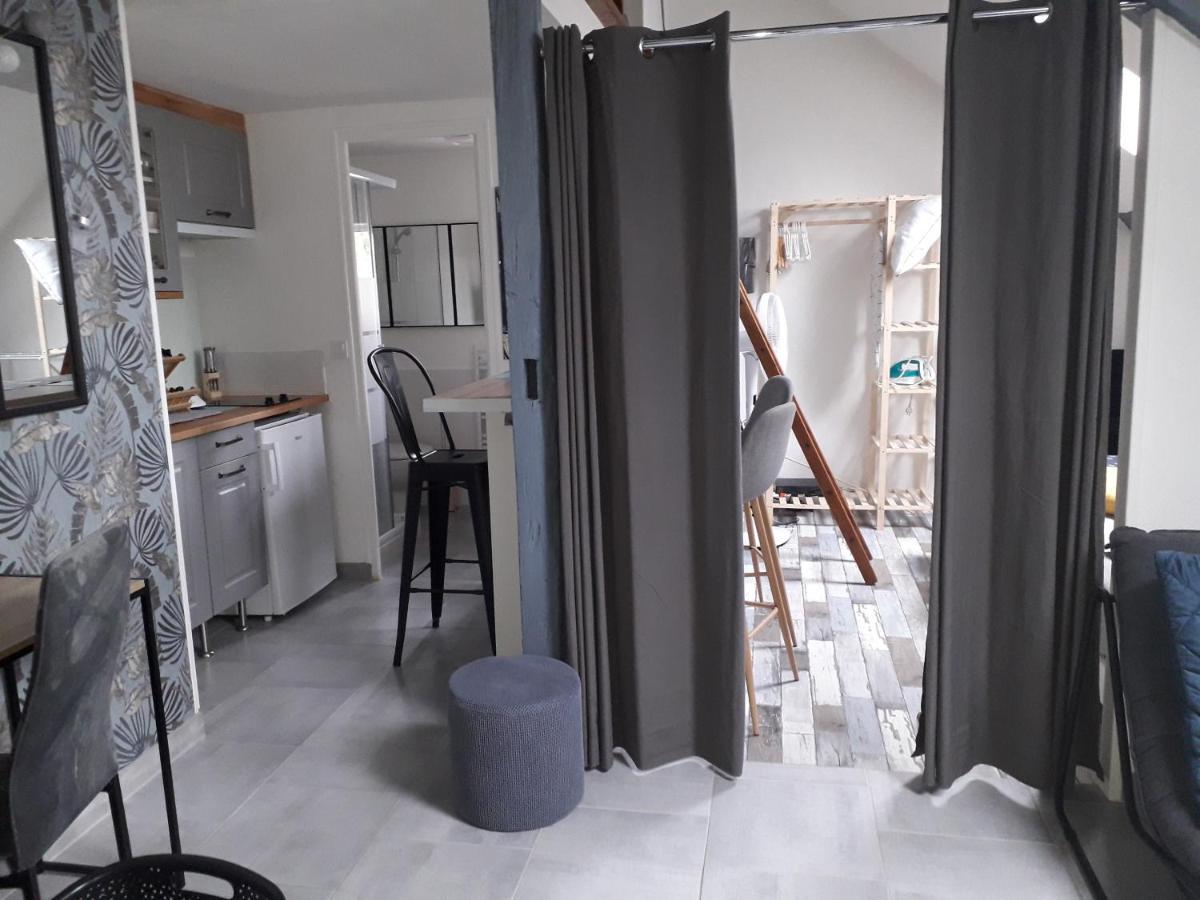 Loft Haut De Gamme Centre Montargis, Place De Parking, Local A Velos, Linge De Lits Et Serviettes, Coin Riviere Amenage, Hamac, Epicerie, Velos En Option, Tout Confort Jusqu'A 4 Voyageurs Zewnętrze zdjęcie