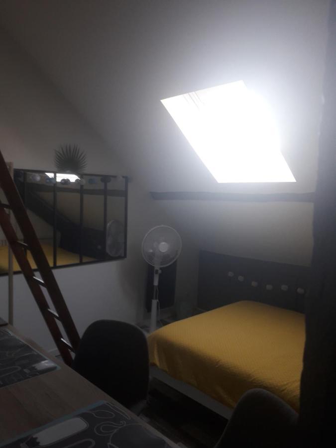 Loft Haut De Gamme Centre Montargis, Place De Parking, Local A Velos, Linge De Lits Et Serviettes, Coin Riviere Amenage, Hamac, Epicerie, Velos En Option, Tout Confort Jusqu'A 4 Voyageurs Zewnętrze zdjęcie