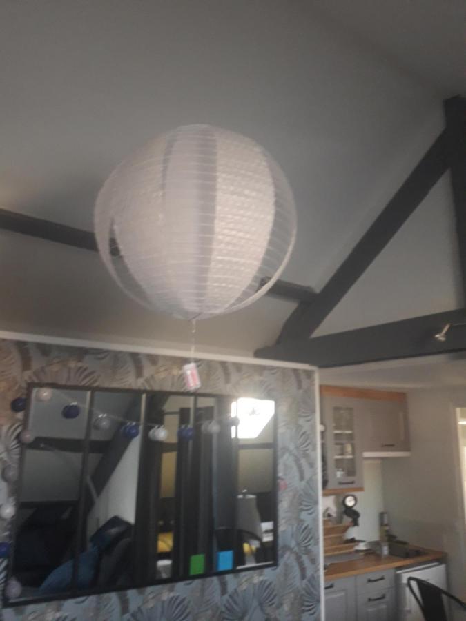 Loft Haut De Gamme Centre Montargis, Place De Parking, Local A Velos, Linge De Lits Et Serviettes, Coin Riviere Amenage, Hamac, Epicerie, Velos En Option, Tout Confort Jusqu'A 4 Voyageurs Zewnętrze zdjęcie