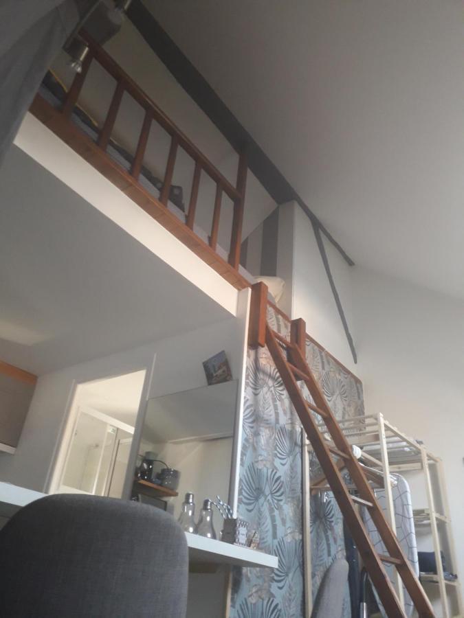 Loft Haut De Gamme Centre Montargis, Place De Parking, Local A Velos, Linge De Lits Et Serviettes, Coin Riviere Amenage, Hamac, Epicerie, Velos En Option, Tout Confort Jusqu'A 4 Voyageurs Zewnętrze zdjęcie