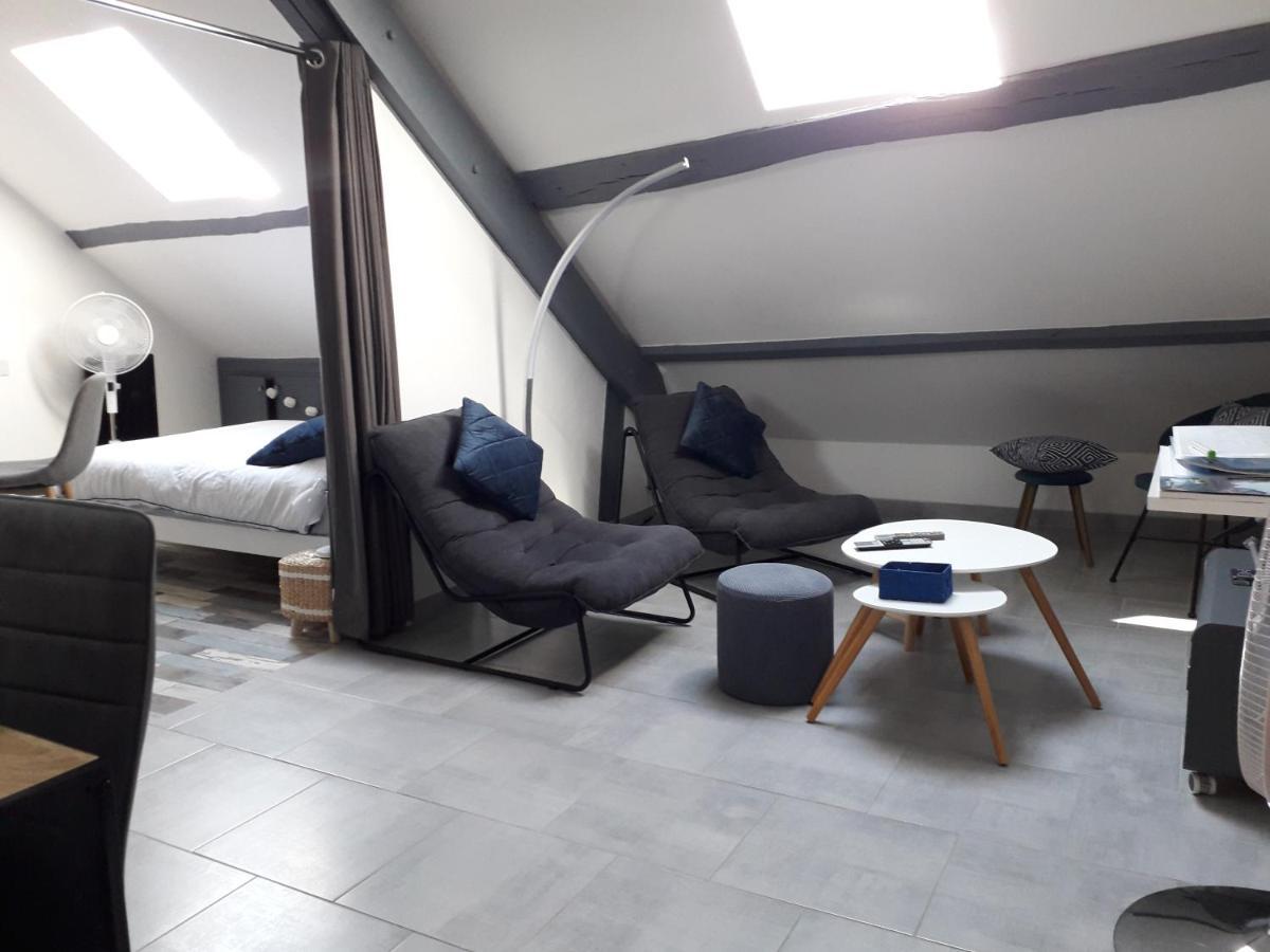 Loft Haut De Gamme Centre Montargis, Place De Parking, Local A Velos, Linge De Lits Et Serviettes, Coin Riviere Amenage, Hamac, Epicerie, Velos En Option, Tout Confort Jusqu'A 4 Voyageurs Zewnętrze zdjęcie
