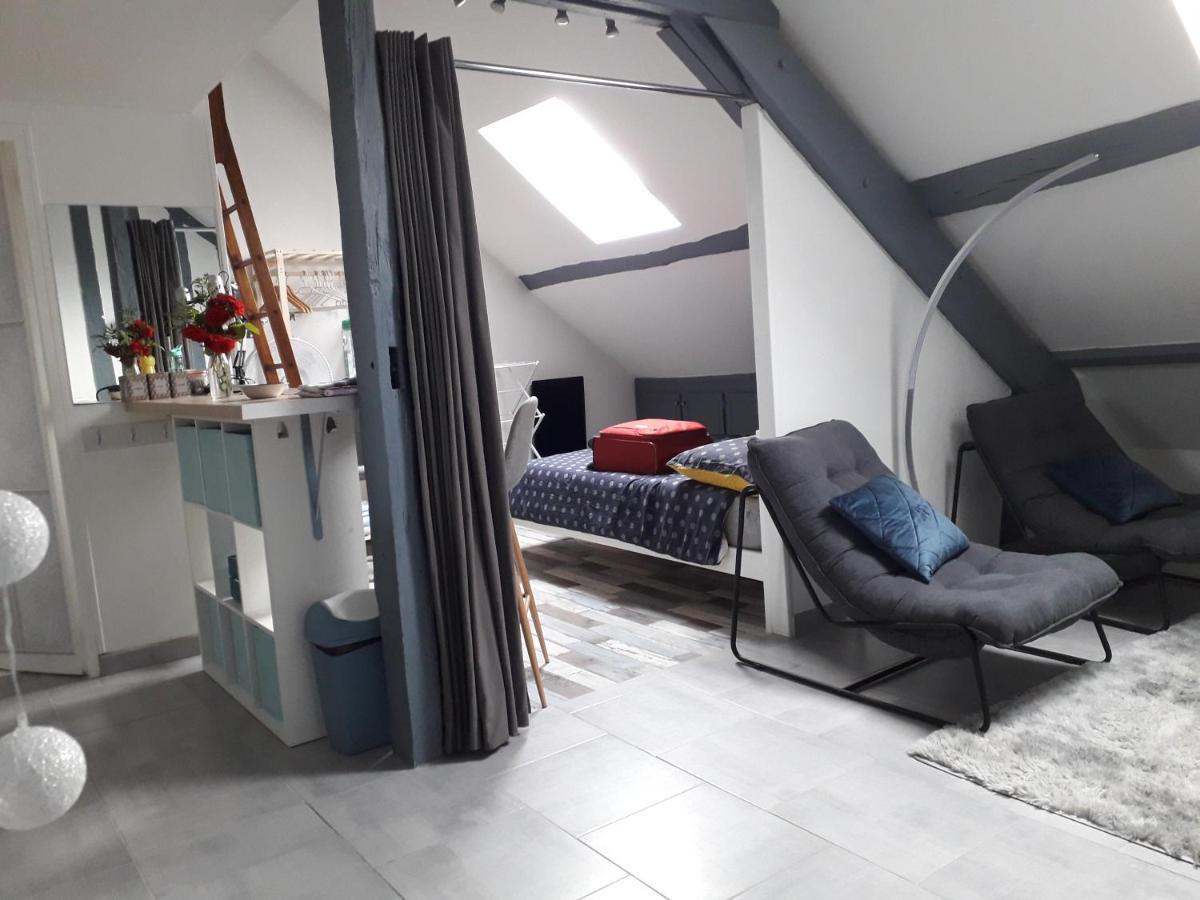 Loft Haut De Gamme Centre Montargis, Place De Parking, Local A Velos, Linge De Lits Et Serviettes, Coin Riviere Amenage, Hamac, Epicerie, Velos En Option, Tout Confort Jusqu'A 4 Voyageurs Zewnętrze zdjęcie